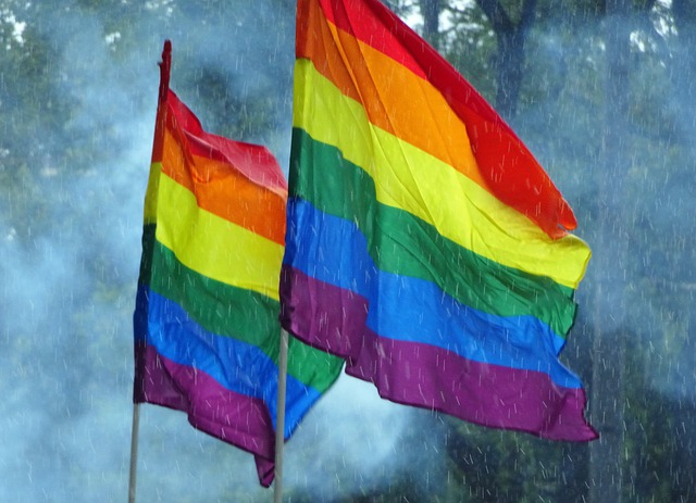 Шемайле трахает гея, геи трансы